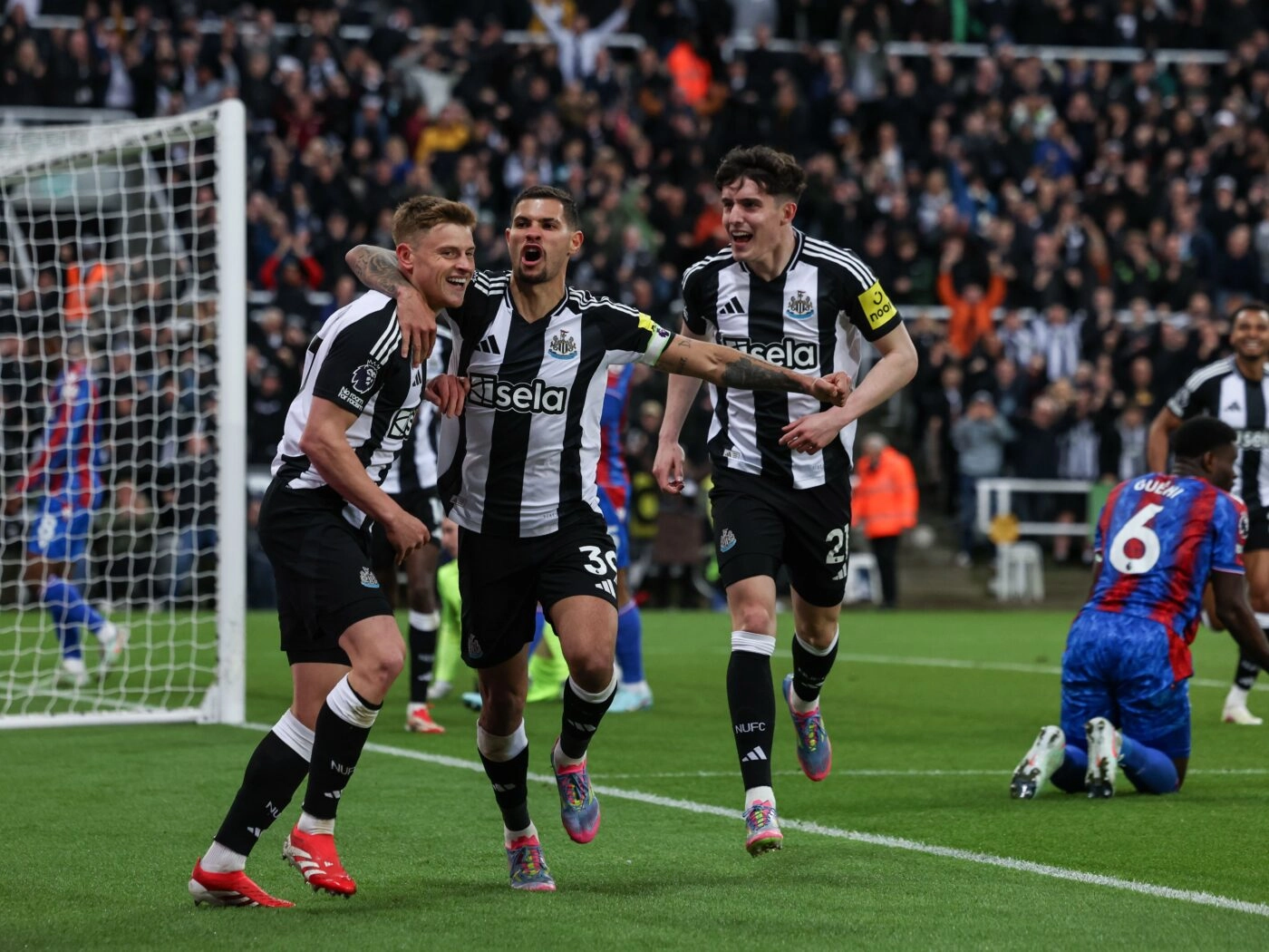 Soi kèo Crystal Palace vs Newcastle - Vòng 32 Ngoại Hạng Anh